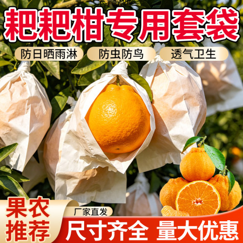 柑橘防虫防鸟套袋白色果袋