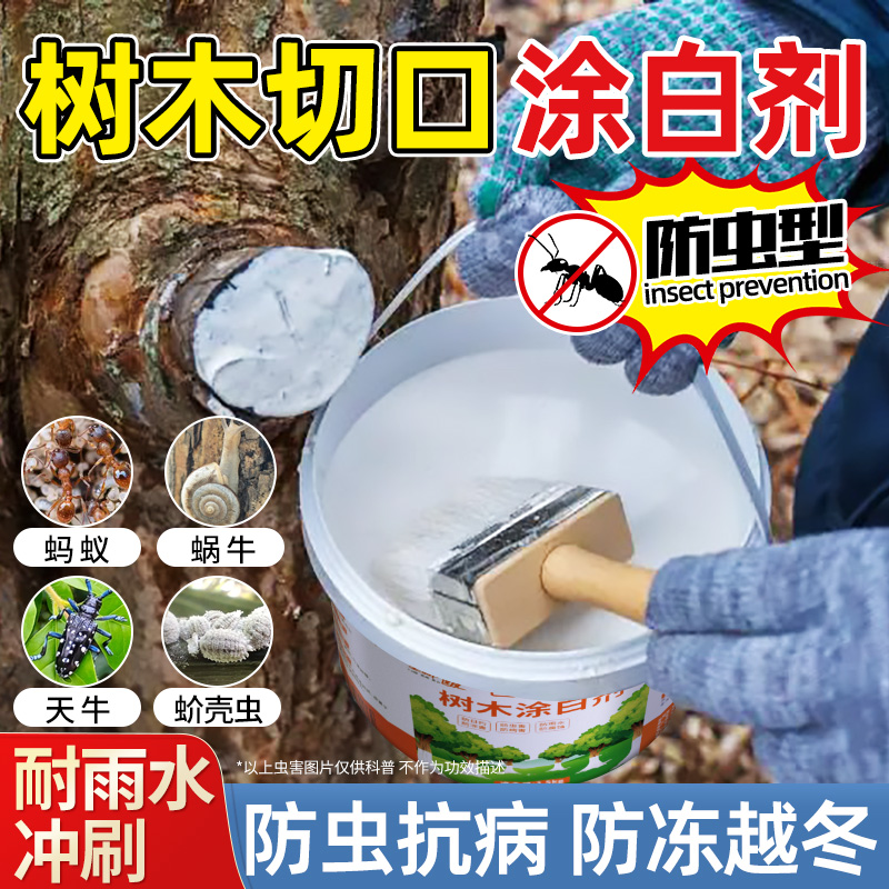 树木切口防虫涂白剂树干果树大树