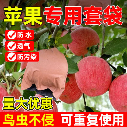 领沃苹果专用纸套袋防雨防水纸袋