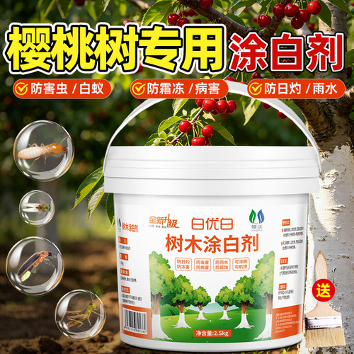 樱桃树专用涂白剂抗寒防冻防虫