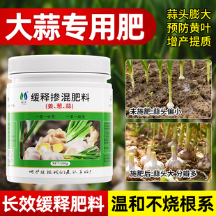 大蒜专用肥种大蒜猛长葱姜蒜专用肥料蔬菜绿植颗粒缓释肥有机肥料