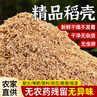 稻壳谷壳批发新鲜谷壳发酵腐熟拌土垫底宠物芦丁鸡垫料枕头芯填充