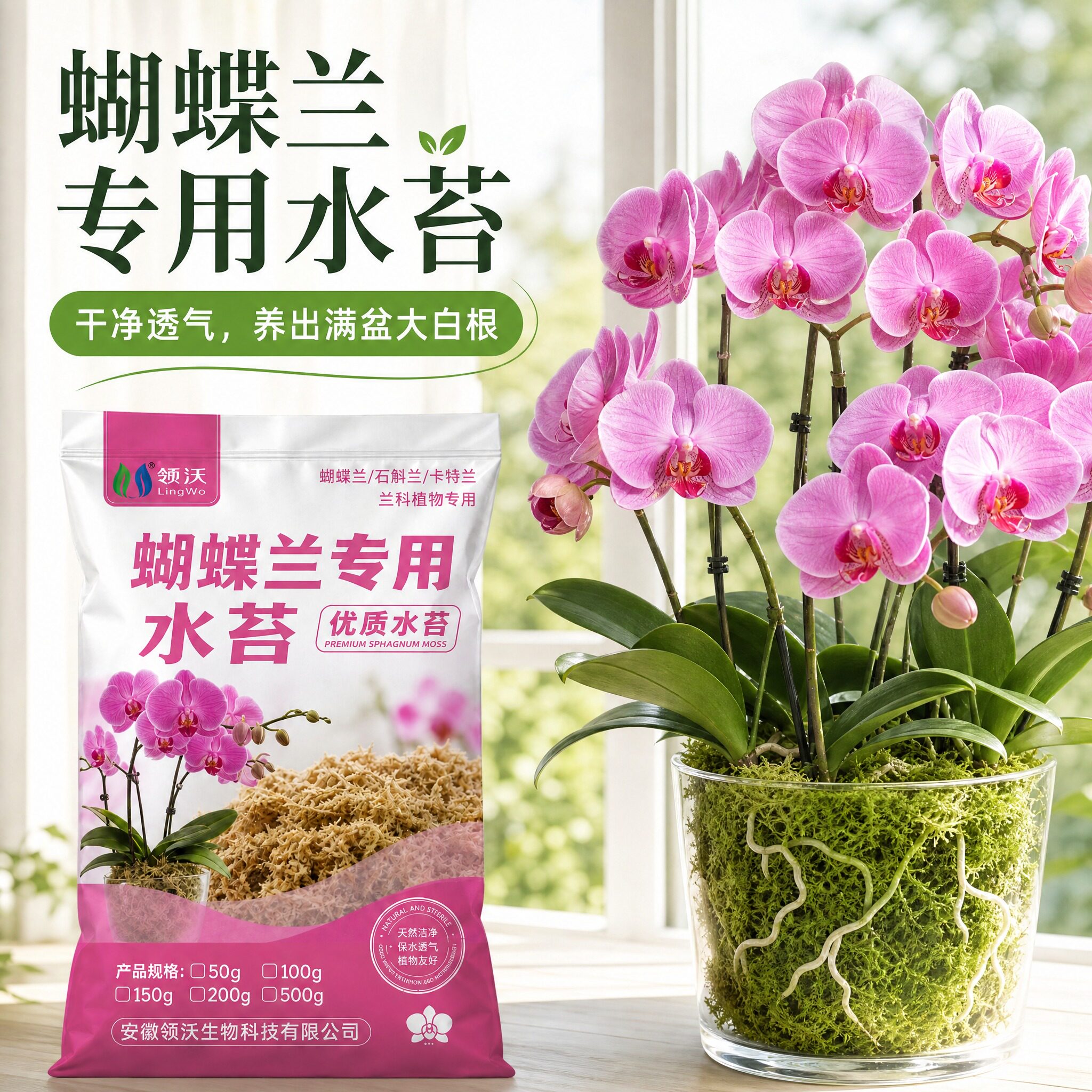 青苔水苔蝴蝶兰专用土天然干苔藓兰花营养土石斛兰植料盆栽种植土