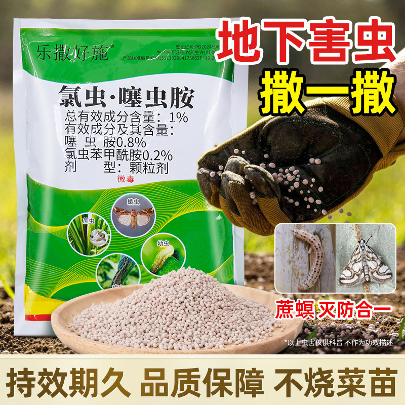 氯虫噻虫胺地下害虫克星土壤防虫颗粒剂撒施蔬菜果园花卉杀虫专用