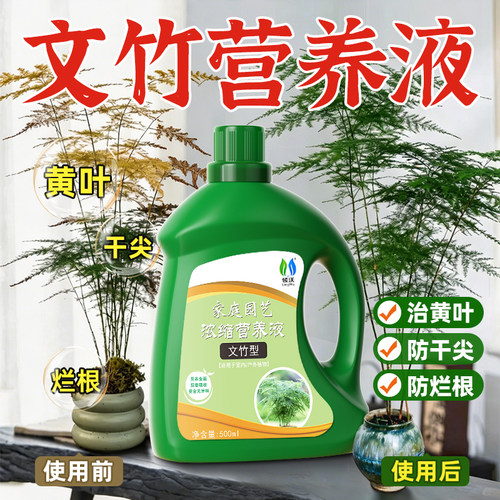 文竹专用营养液治叶子发黄液体肥