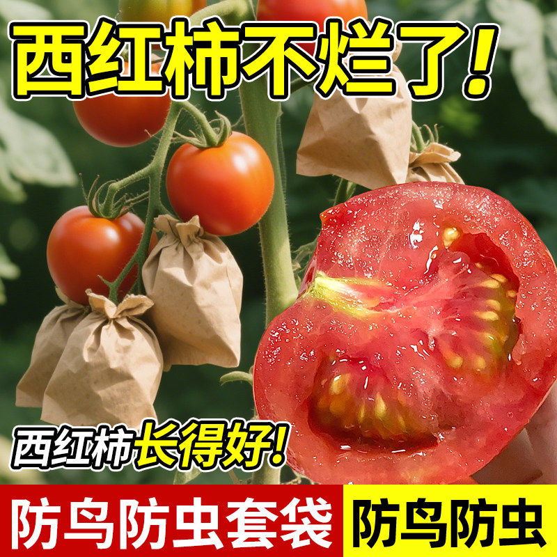西红柿专用套袋防虫防鸟葡萄番茄圣女果透气防水蔬果通用保护纸袋,农机/农具/农膜,水果套袋/果袋,淘宝优惠券,粉丝福利购,淘宝优惠卷