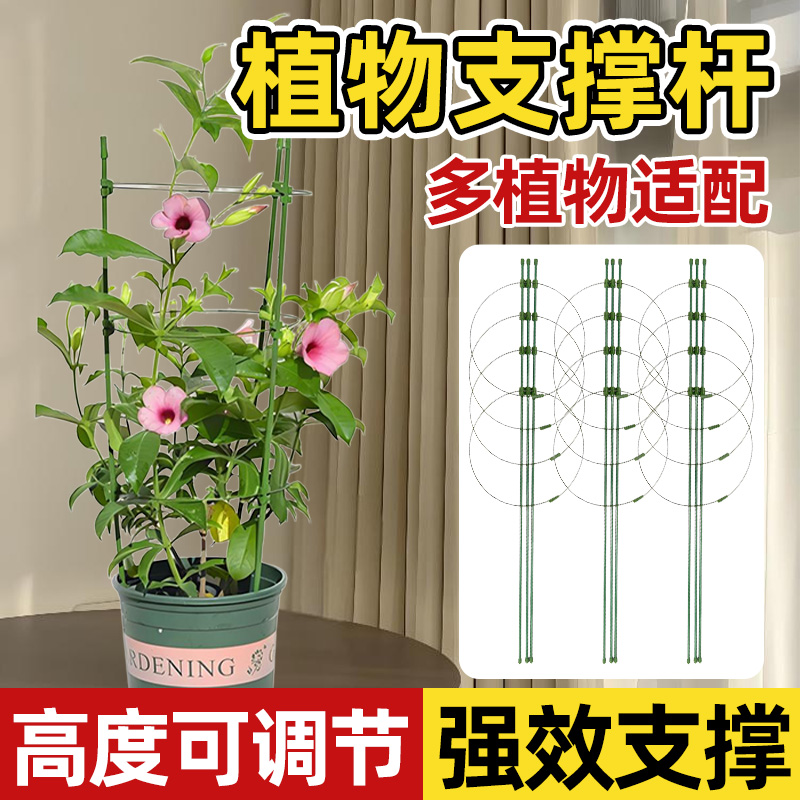 家用花卉绿植支撑杆爬藤花架领沃