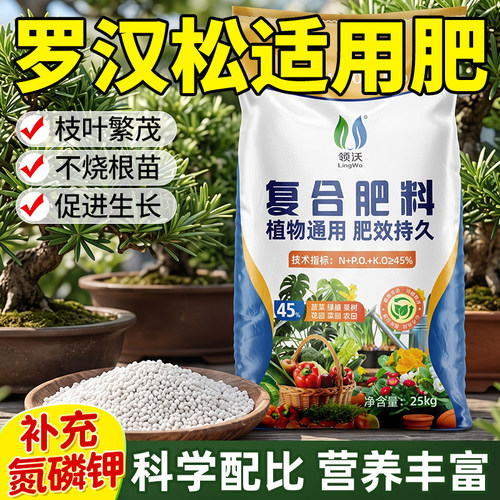 罗汉松专用肥复合肥防治黄叶
