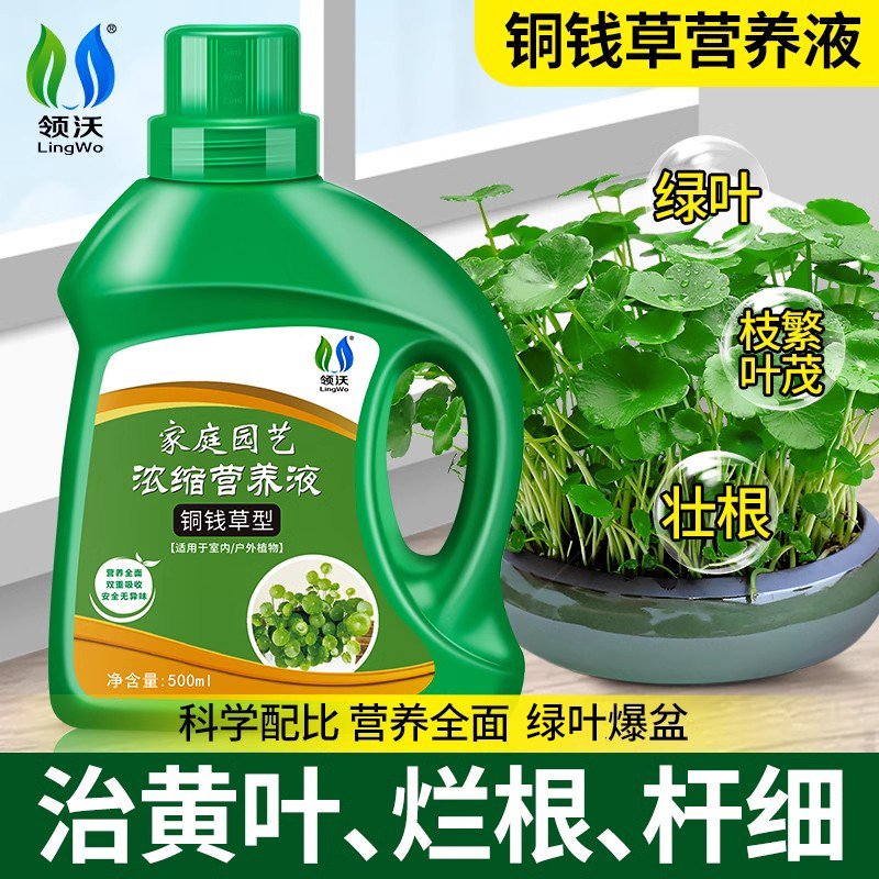 铜钱草营养液肥料专用肥盆栽通用