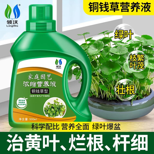 铜钱草营养液肥料专用肥盆栽通用
