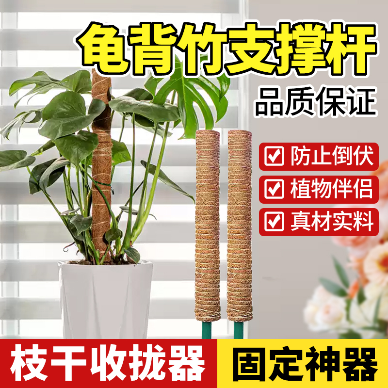 领沃龟背竹支撑杆棕榈皮和椰丝苔