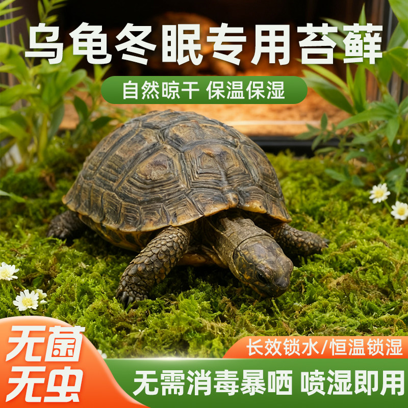 乌龟冬眠专用苔藓椰土椰砖爬宠干苔藓免发泡保暖过冬用品垫材垫料