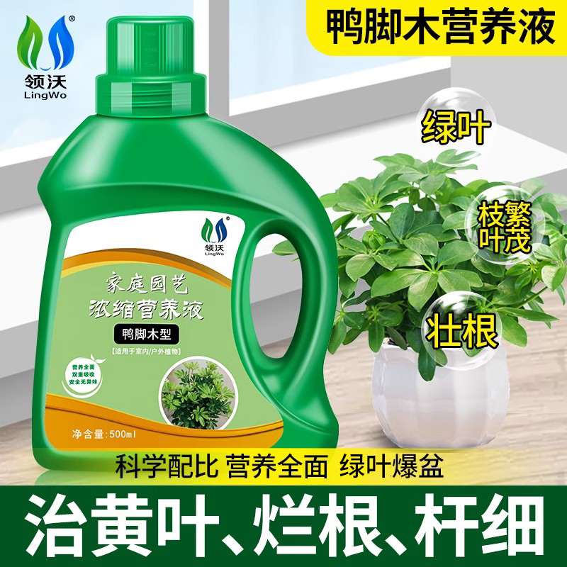 鸭脚木营养液绿植盆栽通用液体肥