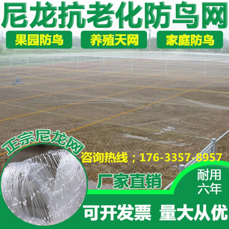 防鸟网白色透明果园果树防鸟网天网鱼塘树防鸟网鱼塘养殖在类目 鲜花速递/花卉仿真/绿植园艺, 园艺用品, 其它园艺用品中 - 来自Buy2taobao.com提供专业的淘宝代购服务