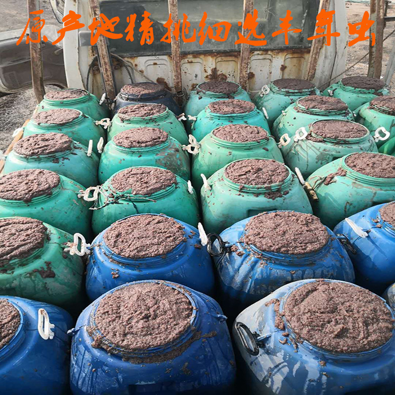 包邮盐滩冰冻观赏鱼开口料中小型鱼虾蟹饲料大卤虫净重2斤|ruв категории животное/Животное питание и принадлежностей, аквариум мира, декоративные рыбы кормов - от Buy2taobao.com для оказания профессиональной услуги покупки агента Taobao