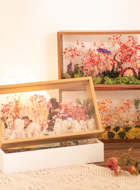 双面透明亚克力相框520干花玫瑰