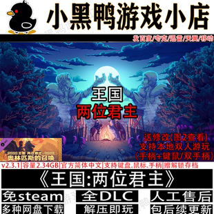 王国两位君主v2.4.0全DLC免steam中文PC双人同屏网盘下载解压即玩