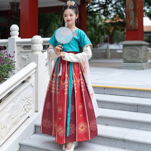 出租唐装敦煌元素坦领半臂汉服女齐腰襦裙中国风中秋表演舞台服装