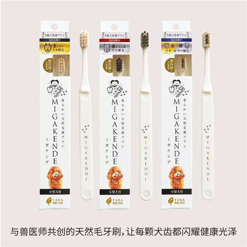 日本进口 migakende 猫咪狗狗 专用牙刷牙结石除口臭 牙齿清洁