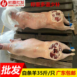 白条羊内蒙古羔羊带皮烤全羊35斤/只苏尼特整只绵羊肉粉广东包邮