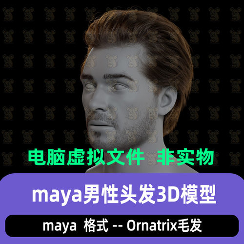 maya男性人物头发短发胡须Ornatrix毛发系统人物头发毛发3d模型