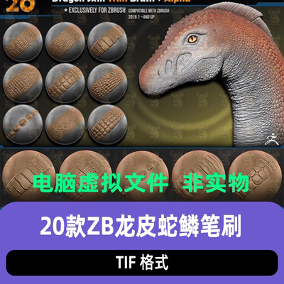 zbrush生物龙类皮肤蛇皮鳞片鳄鱼甲动物皮肤细节Alpha雕刻zb笔刷