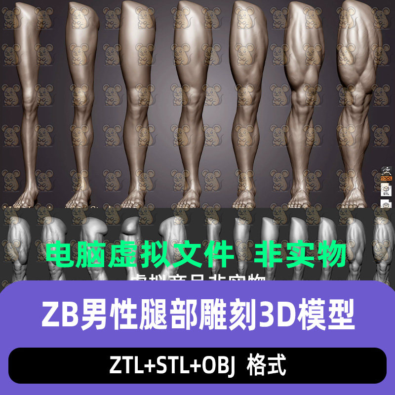 zbrush写实男性人物腿部解剖肌肉脚掌脚丫ZTL雕刻3D模型STL可打印