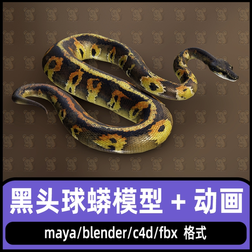 maya黑头球蟒模型blender次世代游戏逼真蛇C4D动物蛇3d模型带动画