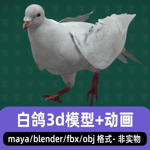 blender白鸽模型鸽子信鸽写实鸟类飞鸟鸽子模型骨骼动画4K贴图fbx