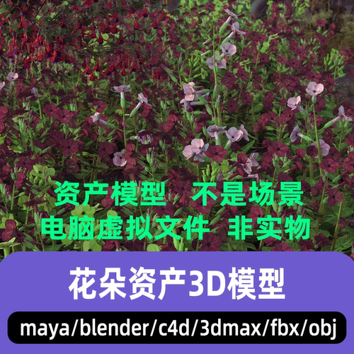 blender影视级写实花朵maya花卉鲜花C4D植物资产游戏3d模型3dmax