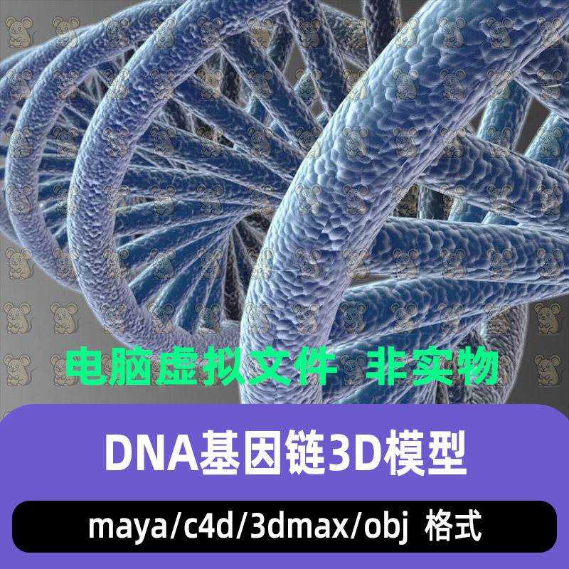 maya基因链DNA双螺旋结构螺旋分子链生物科学3d模型obj 3dmax c4d图片