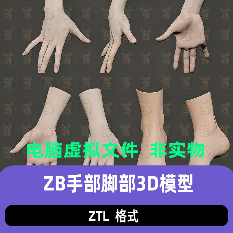 zbrush写实女性手部手掌脚掌手指脚趾姿势雕刻模型ZB手脚3D模型图片