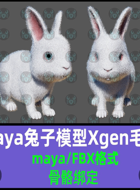 maya小白兔动物模型写实可爱兔子Xgen毛发材质贴图骨骼绑定3D模型
