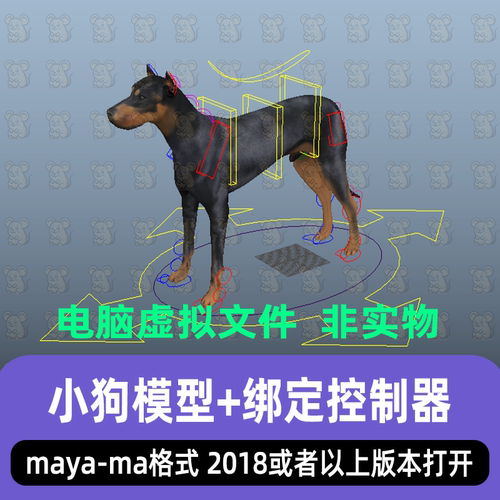 maya影视级写实小狗杜宾犬宠物狗3d模型素材骨骼绑定带有控制器
