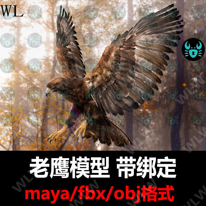 maya模型鸟类老鹰高精写实绑定贴图骨骼肌肉3d模型素材turbosquid