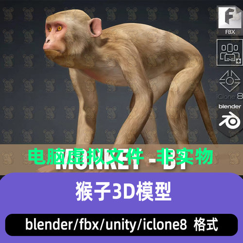 blender猴子动物猕猴骨骼绑定3d模型max c4d maya unity iclone8