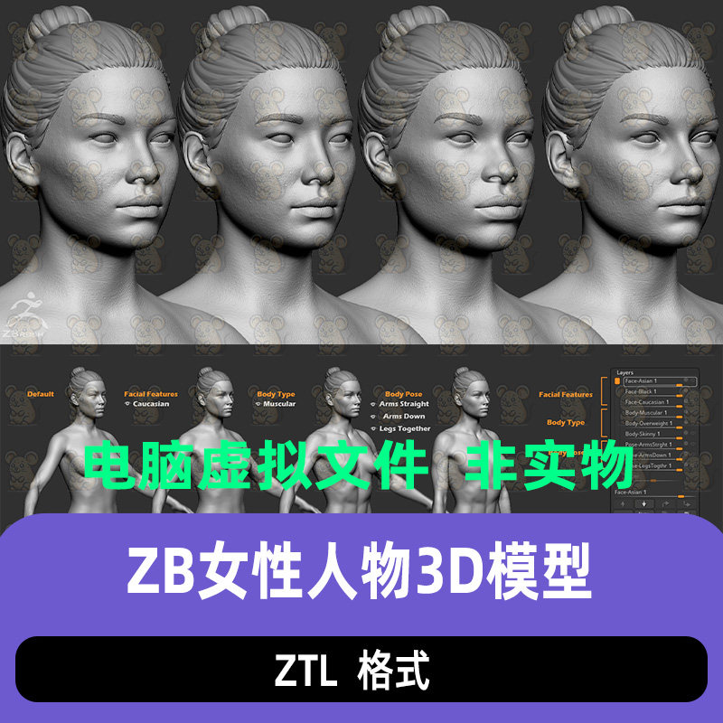 ZBrush写实女性人物面部身体躯干头发基础人物素模雕刻3D模型ZTL