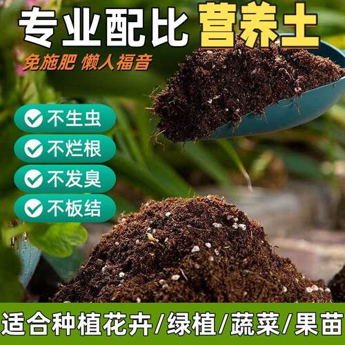 营养土通用型多肉种植