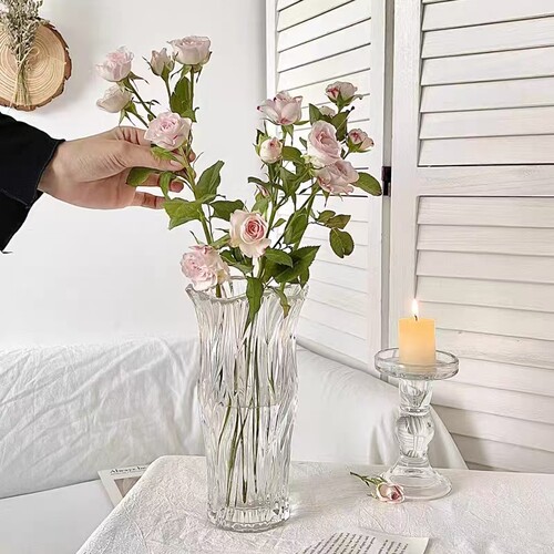 法式简约透明水晶玻璃花瓶水养客