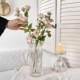 法式 饰品 简约透明水晶玻璃花瓶水养客厅桌面高颜值插花养花花器装