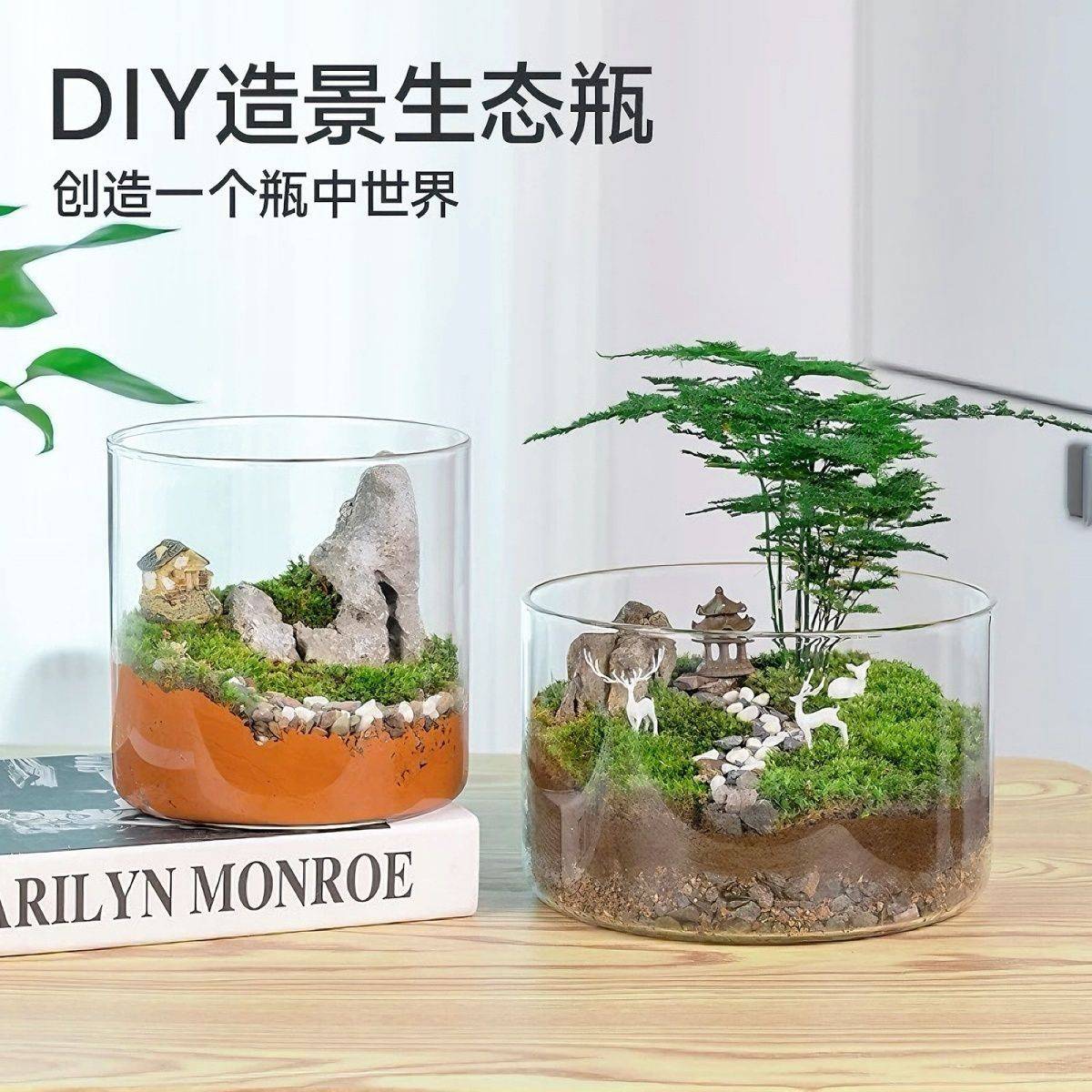 透明PET直筒花瓶水培多肉客厅