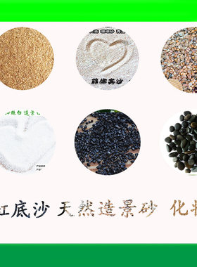 化妆沙鱼底砂菲律宾贝壳造景石