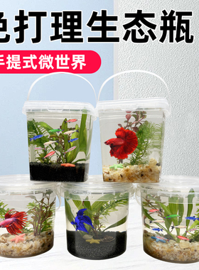 自制小鱼生态瓶DIY手提塑料冷水淡水观赏鱼虾螺真水草活体微景观