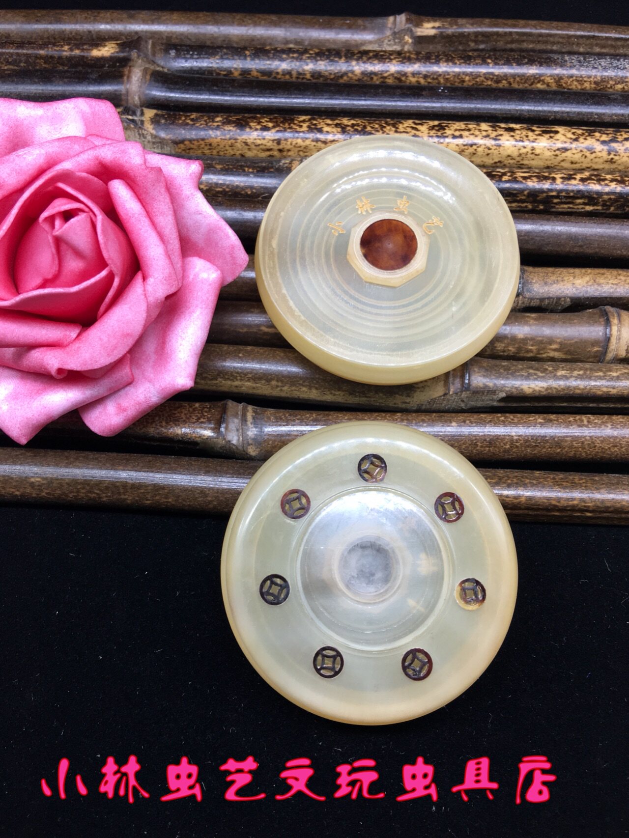 小林虫艺自产全牛角小万体养大黄蛉小黄蛉金铃子尺寸:60*17mm