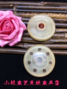 小林虫艺自产全牛角小万体养大黄蛉小黄蛉金铃子尺寸：60*17mm