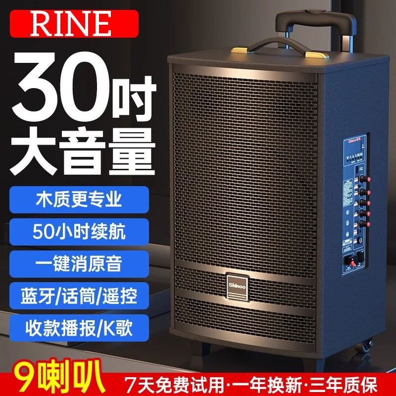 德国2024新款拉杆式音响户外广场功率大音量蓝牙音响室内唱歌舞大