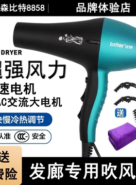 艾德森比特8858理发店发廊专用大