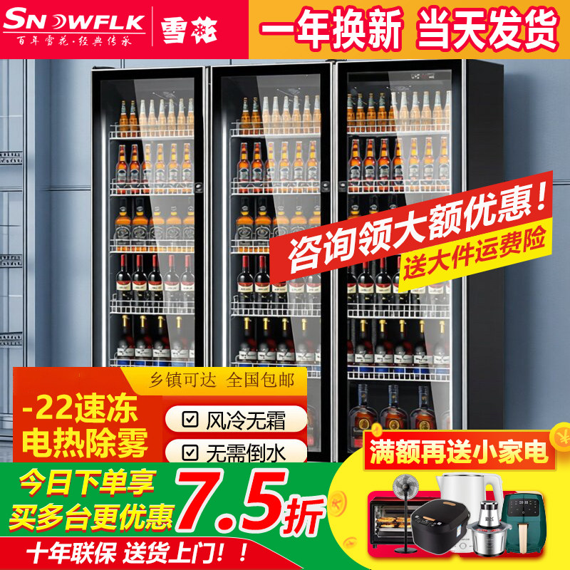雪花冷冻展示柜立式急冻冰柜雪糕