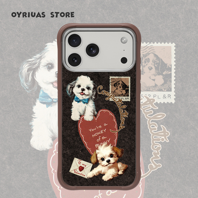 Oyriuas iPhone16/17pm磨砂磁吸浓情寄忆 可拆卸边框手机壳苹果保护套 可爱ins风Magsafe强磁