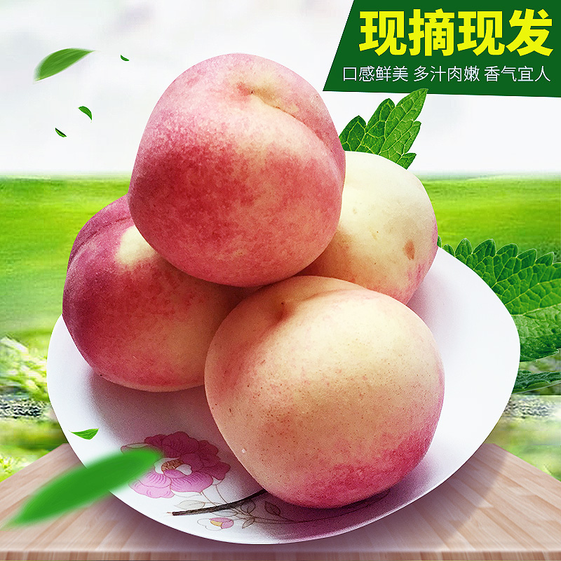 水蜜桃新鲜水果桃子大果金秋红蜜冬桃现货非无锡阳山水蜜桃|msdalam kategori daging perikanan/Buah-buahan segar dan sayur-sayuran/dimasak, buah-buahan segar, Peach - dari Buy2taobao.com untuk memberikan perkhidmatan ejen Taobao profesional membeli